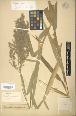 LE 01001113