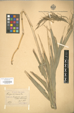 LE 01001116