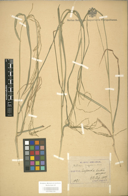 LE 01001123