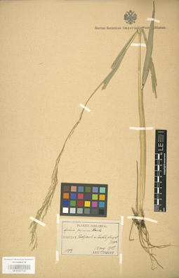 LE 01001125