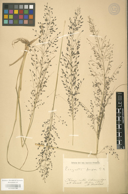 LE 01001128