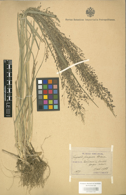LE 01001130
