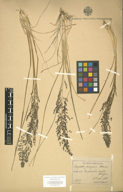 LE 01001131