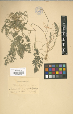 LE 01001132