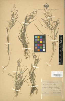 LE 01001136