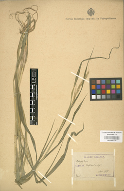 LE 01001139