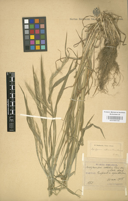 LE 01001143