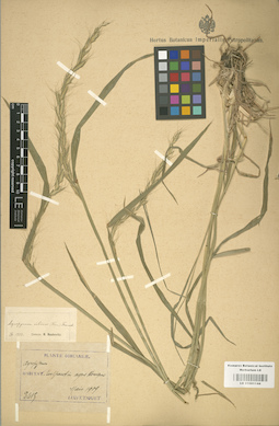 LE 01001144