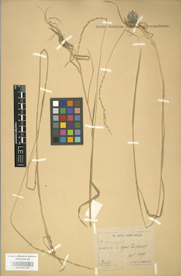 LE 01001145