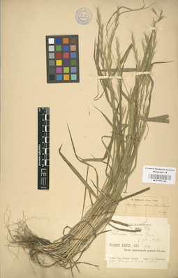 LE 01001146