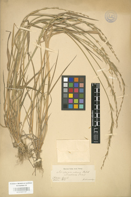 LE 01001147