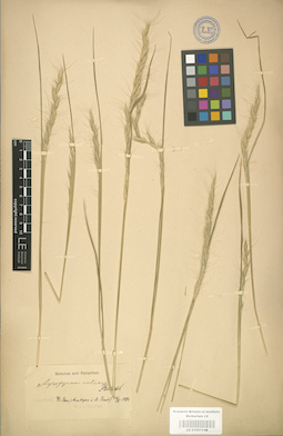 LE 01001148