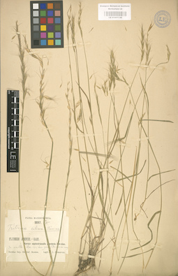 LE 01001149