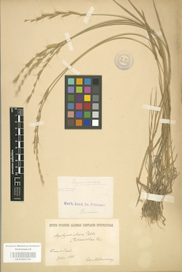 LE 01001150