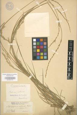 LE 01001151