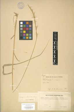 LE 01001152