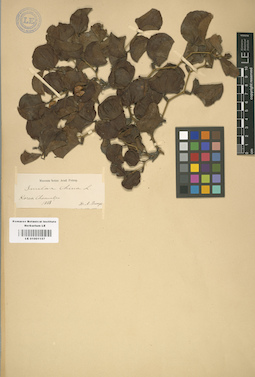 LE 01001157