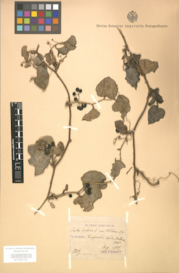 LE 01001162