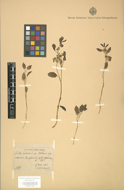LE 01001166