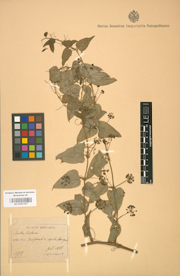 LE 01001167