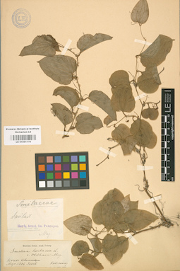LE 01001170