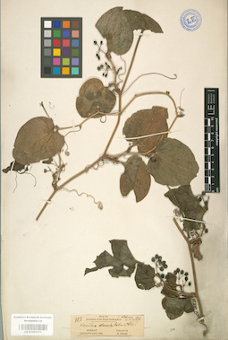 LE 01001171
