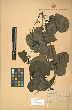 LE 01001174