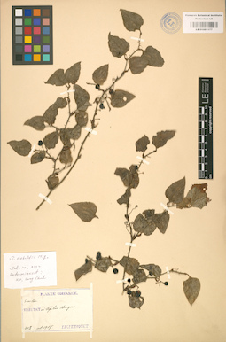 LE 01001177