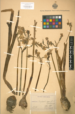LE 01001179