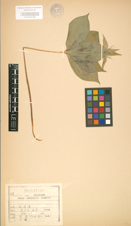 LE 01001188