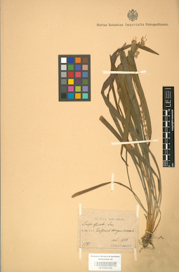 LE 01001189