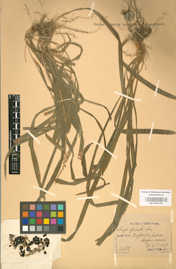 LE 01001191