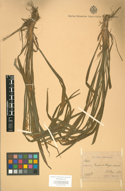 LE 01001192