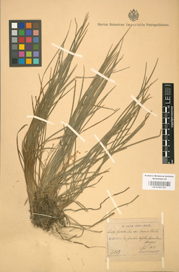 LE 01001193