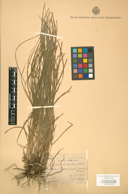 LE 01001194