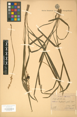 LE 01001195