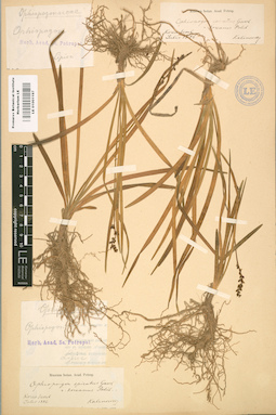 LE 01001197