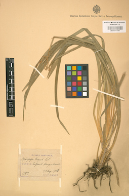 LE 01001199