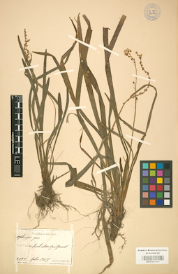 LE 01001201