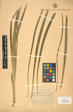 LE 01001202