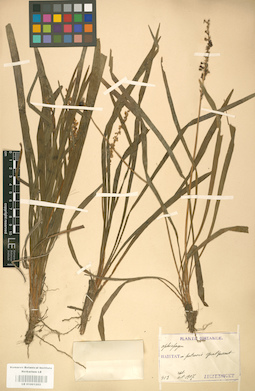 LE 01001203