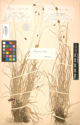 LE 01001207
