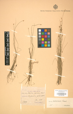 LE 01001208