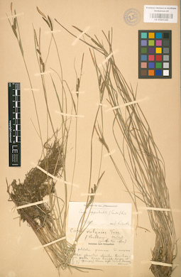 LE 01001209