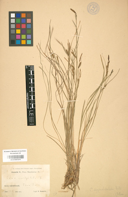 LE 01001210