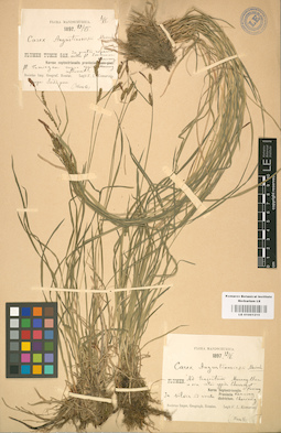 LE 01001215