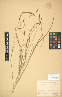 LE 01001216