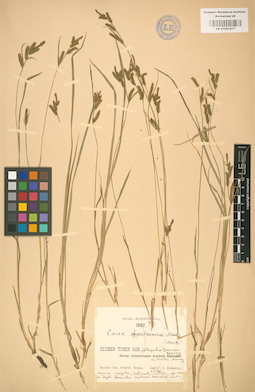 LE 01001217