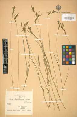 LE 01001218