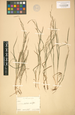 LE 01001220